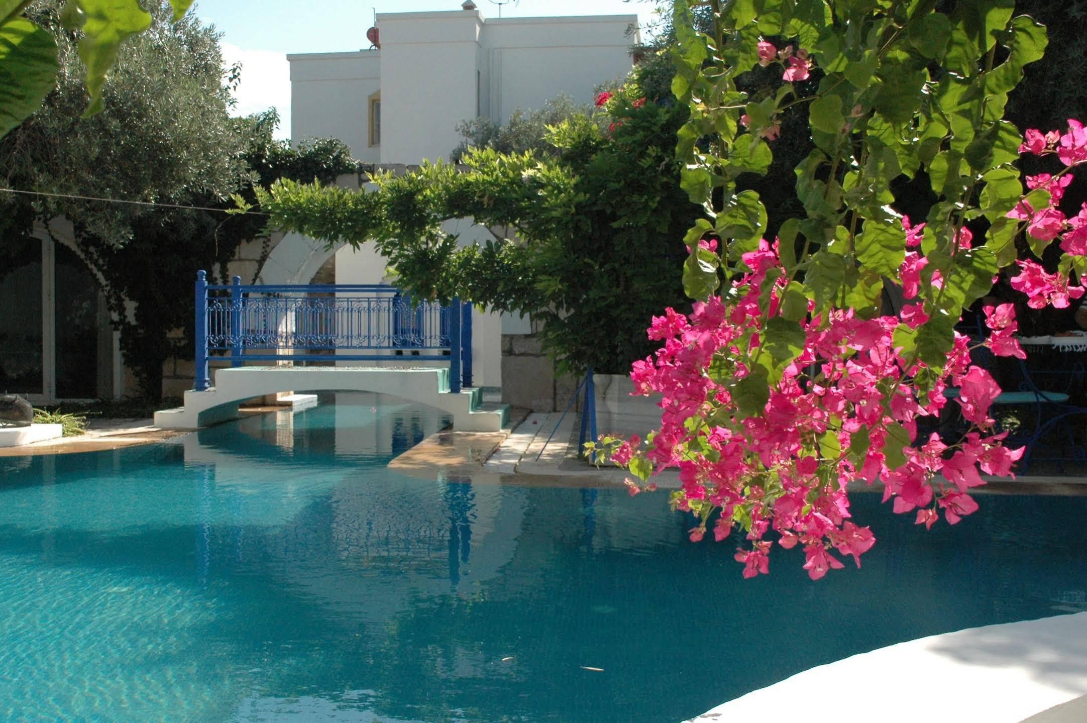 Villa Oliva Butik Hotel Konacik Dış mekan fotoğraf