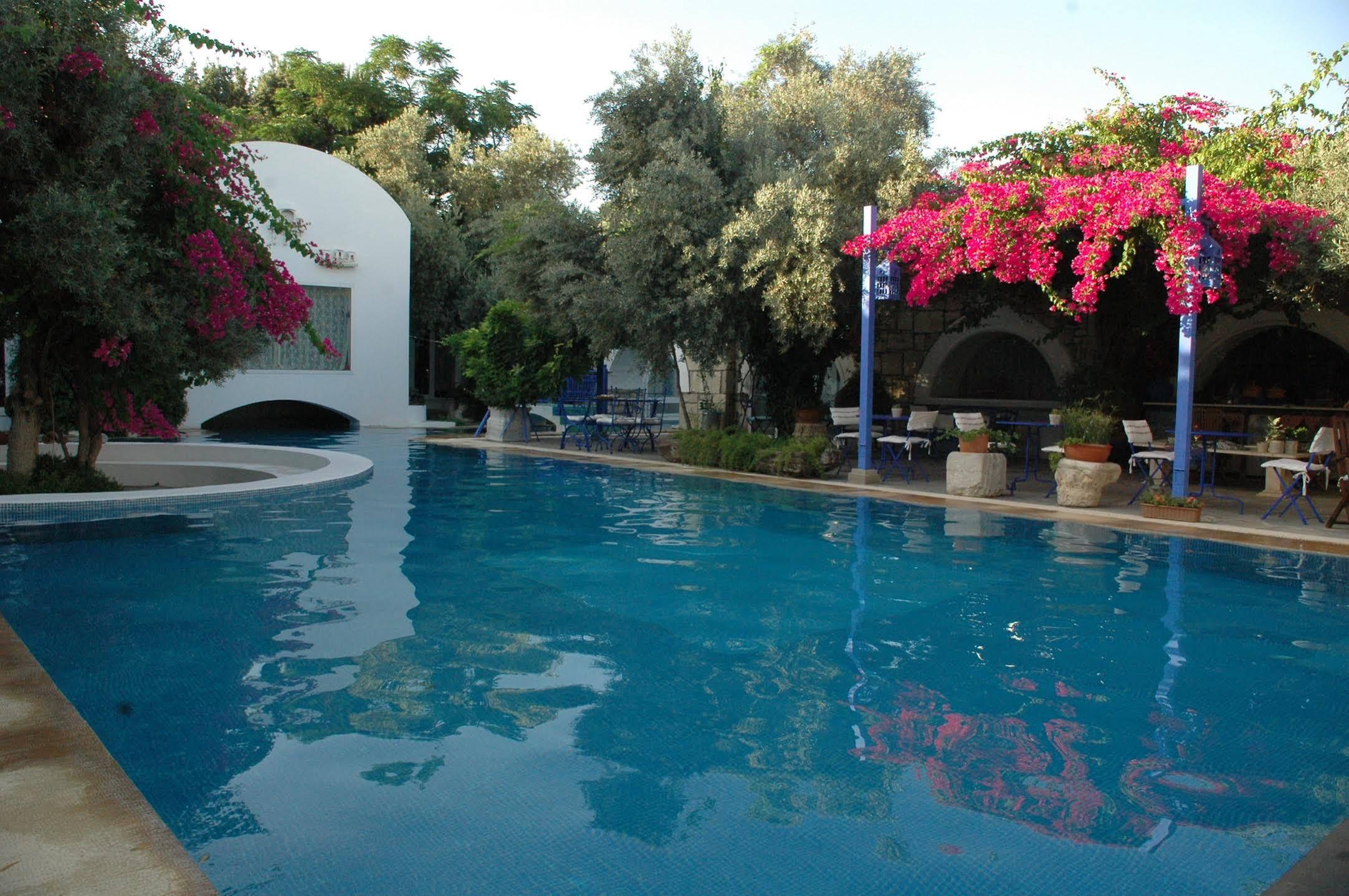 Villa Oliva Butik Hotel Konacik Dış mekan fotoğraf